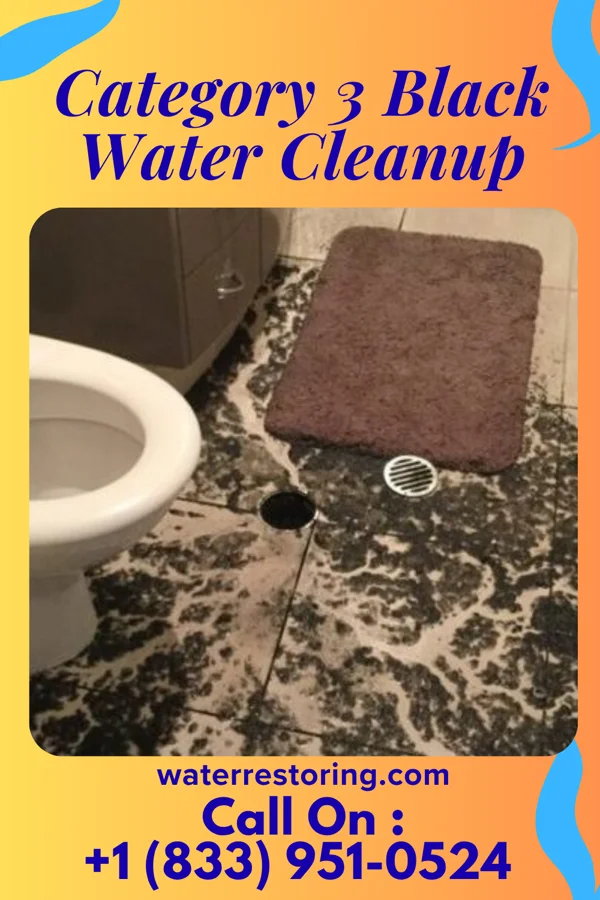 Category 3 Black Water Cleanup in Pevely, MO